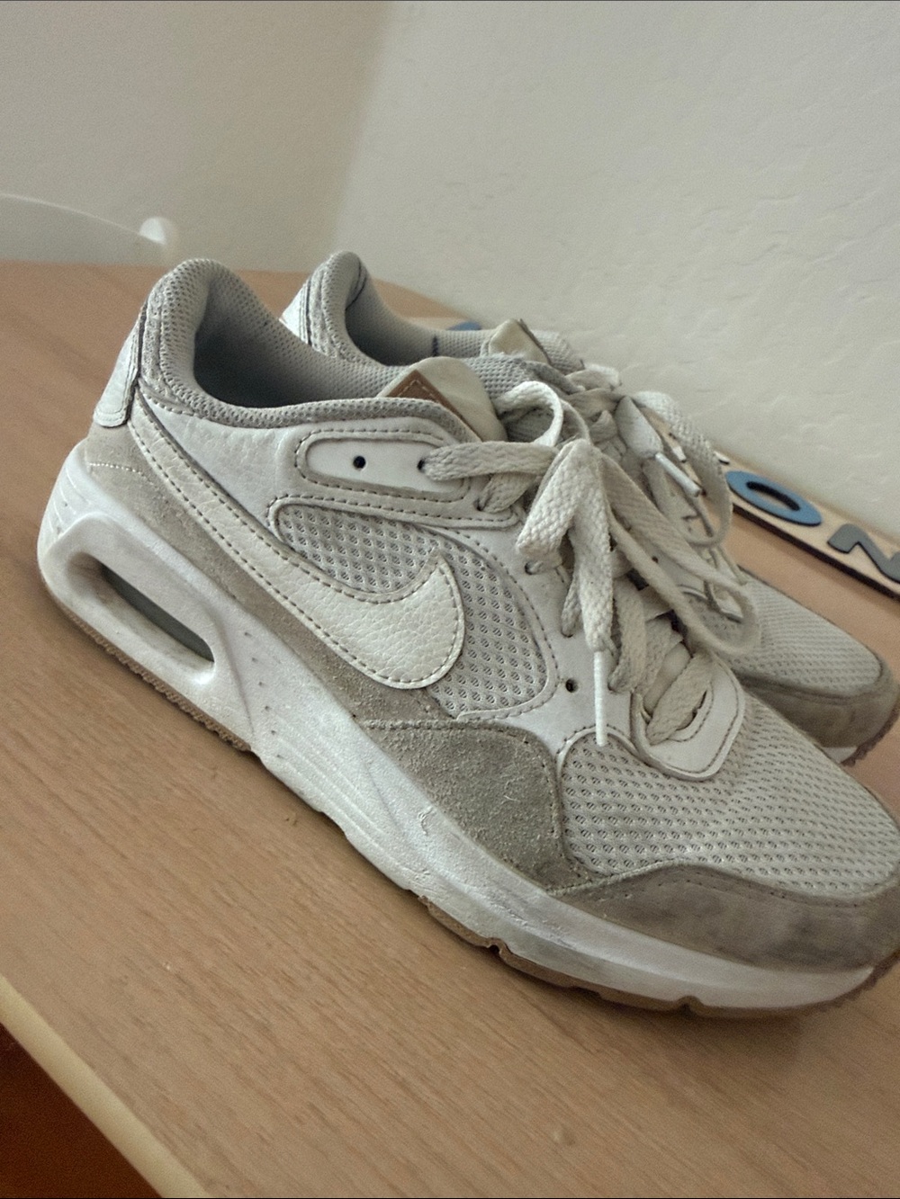 Nike Light Gray & White Mesh Suede Sneakers